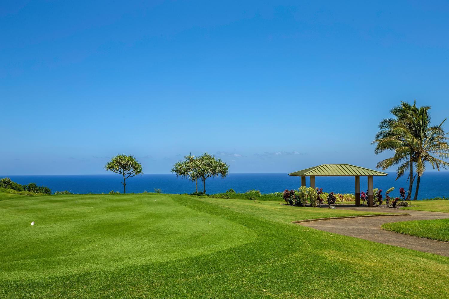 Kamahana 16 - Up Princeville Kültér fotó